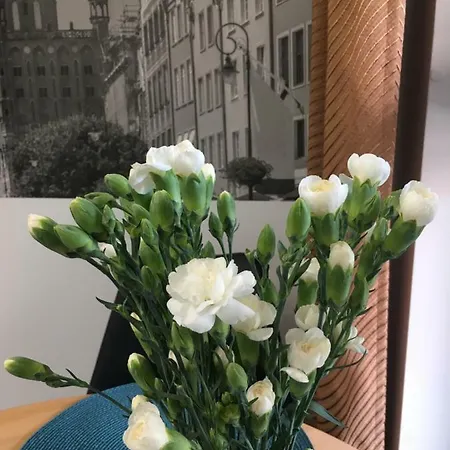 Brovar City Centre Apartament 아파트 그단스크